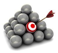 الدورات التخصصية